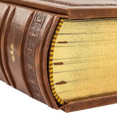 В.Гитин. Всемирная история без комплексов