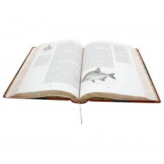Сабанеев Л.П. Комплект из трех книг в пенале